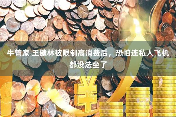 牛管家 王健林被限制高消费后，恐怕连私人飞机都没法坐了