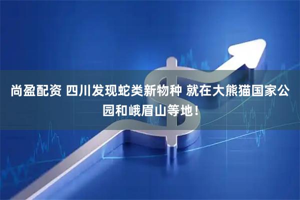 尚盈配资 四川发现蛇类新物种 就在大熊猫国家公园和峨眉山等地！