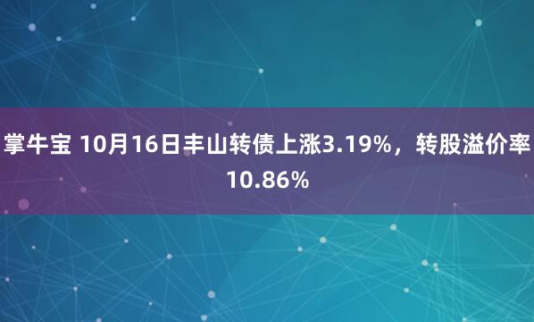 掌牛宝 10月16日丰山转债上涨3.19%，转股溢价率10.86%