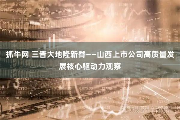 抓牛网 三晋大地隆新脊——山西上市公司高质量发展核心驱动力观察