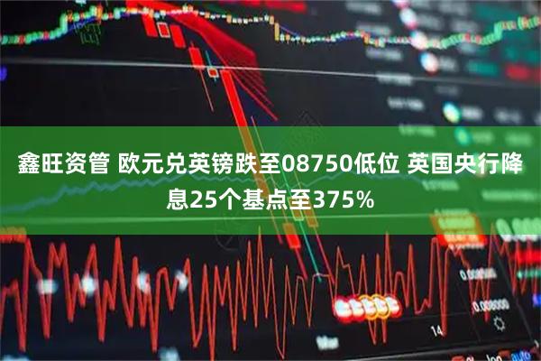 鑫旺资管 欧元兑英镑跌至08750低位 英国央行降息25个基点至375%