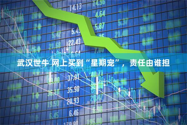 武汉世牛 网上买到“星期宠”，责任由谁担